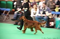 Crufts2011 032